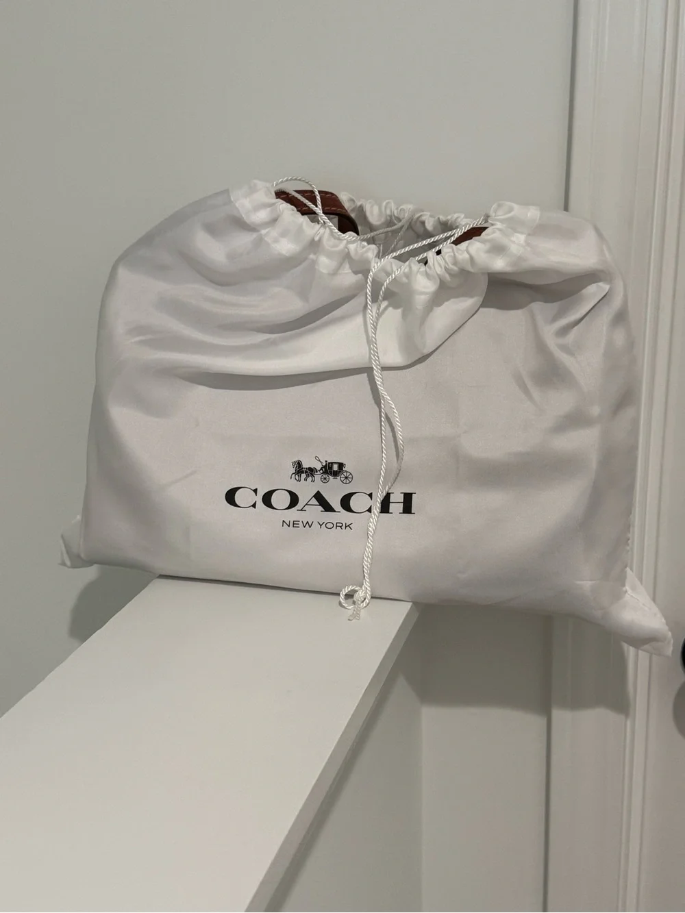 Coach Chelsea 36 in Suede Clay - NWT